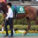 桜花賞過去10年を徹底検証! 「大穴」をあける「人気薄激走馬」の傾向とは?