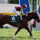 桜花賞過去10年を徹底検証! 「大穴」をあける「人気薄激走馬」の傾向とは?