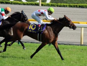 エリザベス女王杯ミッキークイーン陣営「やる気なし」……実績No.1もまさかの「グダグダ」か