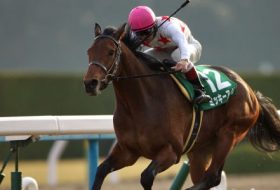 「MAXでやった」坂路1番時計の「究極仕上げ」で送り出されるミッキーアイル！規格外の怪物が取り戻した「個性」と「狂気」が王者ビッグアーサーに迫る！