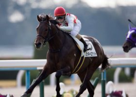 サトノダイヤモンドに迫った力は伊達ではなかった！ミッキーロケットがシャケトラとの壮絶な叩き合いを制して日経新春杯（G2）制覇！