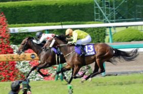 JRA宝塚記念関ジャニ∞が無意味……入場者増も売上は……