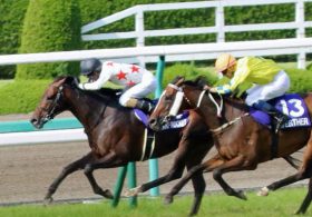 宝塚記念（G1）ミッキーロケット優勝で「史上最弱世代」返上!? サトノダイヤモンドら「完全終了」の一方、”脇役”たちの才能開花