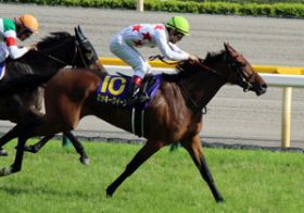 「オンナの戦い」は桜花賞だけじゃない！ 「ミッキークイーンVSストレイトガール」で要注目の阪神牝馬S（G2）