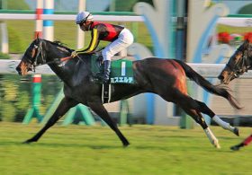 武豊騎手「JRA全G1制覇」か「フランケル旋風」が続くのか……今年の朝日杯フューチュリティS（G1）は例年以上の激熱だ！