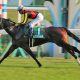 武豊騎手「衰えゆく競馬の象徴」を競馬界はどう活かすのか。2016年はその「モデルケース」となった一年 ~2016年競馬界プレイバック2~