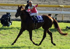 G1馬モーニンが格の違いを見せつけるか？ 過去には「60万馬券」も飛び出している混戦必至な武蔵野S（G3）に注目！