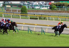中山記念3着ロゴタイプに改めて感服！ 進化を続ける「老兵」の姿に「今年こそ有馬記念に」の声