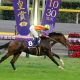 ノヴェリストは他の欧州種牡馬とは違う!? 日本実績抜群の「ルーツ」と配合の妙に期待