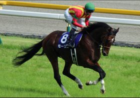 マイル王モーリス香港のJ.モレイラ騎手と共に8.21札幌記念（G2）参戦へ！陣営の迅速な決断の「裏側」にあった既定路線とは