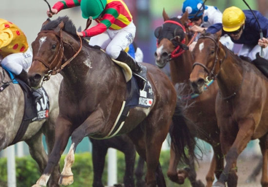 モーリス、秋は天皇賞から香港マイル濃厚！ 札幌記念敗退に不安も