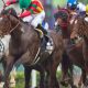 2歳馬の大活躍に「やはり本物」の声多数! 今をときめく「スーパーお父さん」スクリーンヒーローから目を離すな!