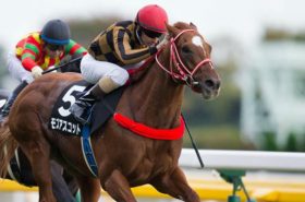 JRA「新マイル王」へ良血モズアスコット「目覚め」の時？ 過去2戦敗退の「理由」とルメールの「狙い」