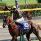 JRA坂井瑠星騎手「落馬負傷」で長期離脱の危機……オーストラリアで武者修行後、今年重賞初制覇も……