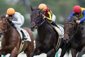 ムーヴザワールドが共同通信杯（G3）から始動で混迷の牡馬3歳界に覇を唱えるか！ タッチングスピーチ全弟の不安点は鞍上のスイッチ？