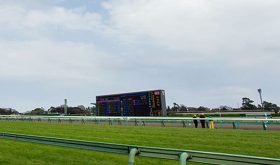 大混戦に「京都マイルの鬼」の血が騒ぐ！「サトノはサトノでも、サトノルパン」 先週のC.ルメール騎手に続き、今週はM.デムーロ騎手が大穴演出!?