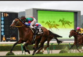 競馬予想ネタ ～夏男を探せ～