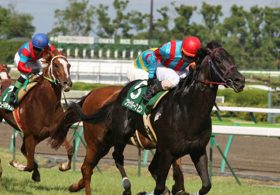 重賞穴予想～CBC賞・ラジオNIKKEI賞～