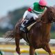 JRANo.1の勝負強さ! 勝ちまくりのM.デムーロ騎手唯一の不安は「ムラ」?