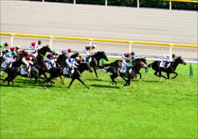 【アルテミスS（G3）展望】重賞制覇のチャンス到来！？牝馬限定重賞を制して世代の主役に名乗りを上げるのは？