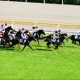 ブラストワンピース衝撃の新潟記念(G3)参戦発表……裏に「社台の使い分け」や「体質」も?