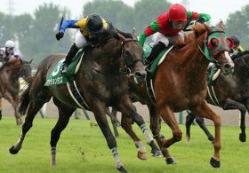 【重賞展望・新潟記念（G3）】サマー2000シリーズ最終決戦に「夏の王者」を狙う好メンバーが集結！栄冠を手にするのは一体どの馬か！