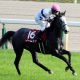 JRA社台グループも諦めた? 北海道の競馬関係者が嘆く「札幌記念G2→G1昇格」は、もはや夢物語か