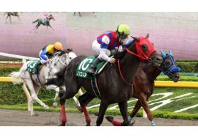 失意に暮れるノンコノユメはフェブラリーSで復活できるか？ ホルモンバランスの安定で久々のG1獲りへ向けて視界良好