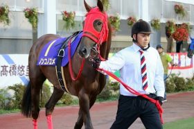 【JBCクラシック（G1）】JRA開催は余裕の「1点」馬券!? 有力情報が導く「鉄級」の勝負馬とは……ジェームスT決意の「JBC」3本勝負!!