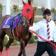 JRA障害最強オジュウチョウサンは確定?JRA「有馬記念ファン投票中間発表」もやはり上位出走少ない?