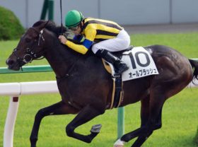 川崎記念（G1）は伏兵オールブラッシュ＆ルメール騎手の「神逃げ」で強豪に完勝！ 戦前予想の「3強」は見事に出し抜かれ……