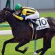 サトノダイヤモンドが大阪杯回避!! マカヒキ、キタサンブラックとの「頂上決戦」は先延ばしに……