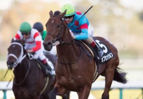 JRA藤沢和雄調教師「大器」オブセッションは皐月賞回避も!?「4強激突」の弥生賞（G2）でもピリピリ感なし……藤沢流の「真意」は？