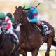 【オーシャンS(G3)展望】春のスプリント王決定戦へ向けての大一番!? 中心馬不在の混戦模様の激戦を制するのは?