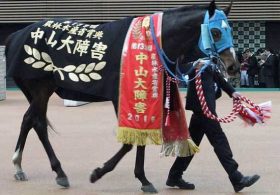 JRAオジュウチョウサンに「死角」あり!? 中山グランドジャンプ（G1）「金字塔」かそれとも「大金星」か……