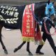 オジュウチョウサン×武豊「平地枠順確定」 大注目の1戦のキーワードは雨!?