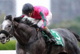 東京大賞典（G1）JRA3歳「第2の男」オメガパフューム！ 3歳G1競走5連勝も十分あるか