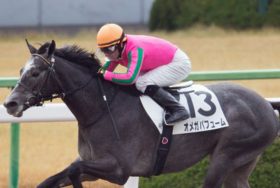 JRAチャンピオンズC（G1）「再戦」オメガパフュームがルヴァンスレーヴにリベンジ？ ポテンシャル抜群も不安は……