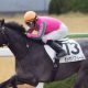 JRAフェブラリーS(G1)武豊より藤田菜七子よりアイツ!? 競馬女王桃井はるこの「平成最後のダート王」見立て