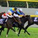 C・ルメール騎手「桜花賞(G1)は勝てる」大本命・メジャーエンブレムの実力と「伝説」