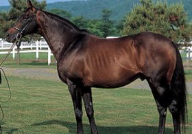 「歌劇王の父」オペラハウス死す……あらゆる「逆境」をものともせず名馬を輩出した革命家の生涯