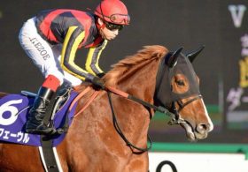2016年「種牡馬種付け料・上位編」 1位は当然アノ馬！ 産駒デビュー前のあの「暴れん坊」にも大きな期待が！