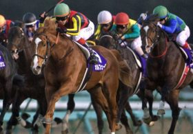 現役時代は1勝1敗。良血馬オルフェーヴル×ホエールキャプチャを落札したマイネル岡田総帥の狙いは「三冠馬ミスターシービーの再来」？