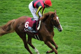 JRA「三冠馬」と日本代表が”リンク”？ 「一瞬」の敗北にあの「暴れん坊」の海外挑戦をファン想起？