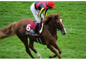 JRA「金色の暴君」オルフェーヴルがタケシバオー2世を襲名!? 伝説の怪物を彷彿させる完全無欠の存在に…… 令和を代表する種牡馬に駆け上がるか