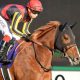 武豊・キタサンブラック、ルメール・レイデオロ、ソウルスターリング、サトノダイヤモンド……有力馬のローテから秋競馬を展望!