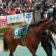 JRA菊花賞(G1)「乾坤一擲」オウケンムーンが大波乱の使者!? 父オウケンブルースリが成し遂げた「淀の伝説」再び
