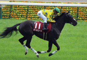 JRA 川田将雅「これからどう成長してくるか楽しみ」 厩舎ゆかりの血統で5億円ホースを一蹴！名門牧場「走ってもらわないと困る」と評価する2歳馬とは