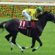 JRAマカヒキは「何故」復活できたのか。京都大賞典(G2)直前「若い馬にも負けてない」諦めなかった陣営の信念