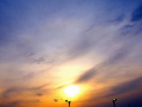 トーホウジャッカルが引退。「3.11」に生まれた2014年菊花賞馬の数奇な競走生活